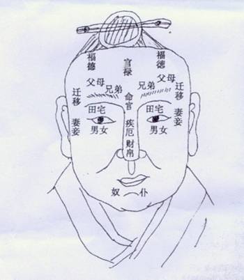 面相算命入门：十二宫