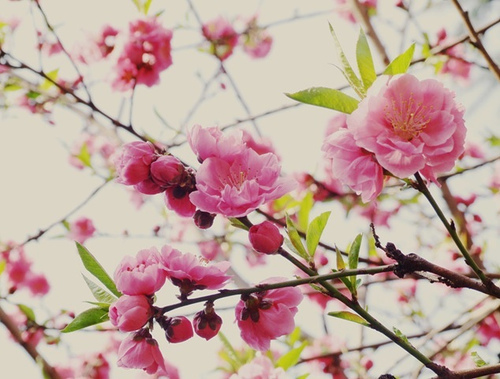 祝福你一生好运的家居风水