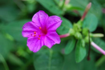 如何利用风水增旺高考运